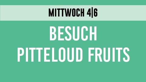 20250604_Visite_Pitteloud_teaser_DE