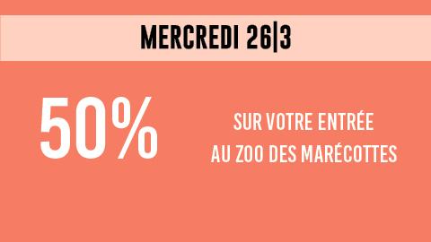 20250326_Zoo_teaser_FR