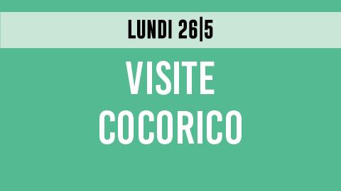 20250526_Visite_Cocorico_teaser_FR