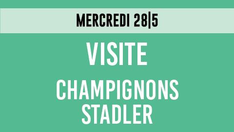 20250528_Visite_Stadler_teser_FR