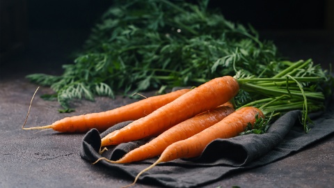 carottes