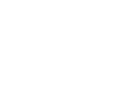 icon_vote